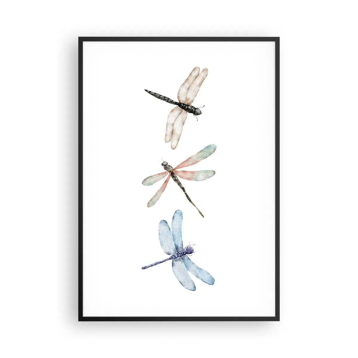 Poster in einem schwarzem Rahmen - Schwerelose Libellen - 70x100 cm