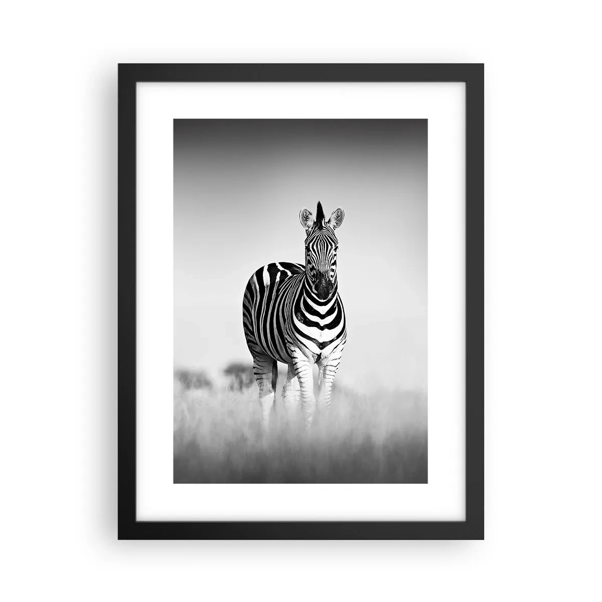 Poster in einem schwarzem Rahmen - Die Welt ist doch schwarz-weiß - 30x40 cm