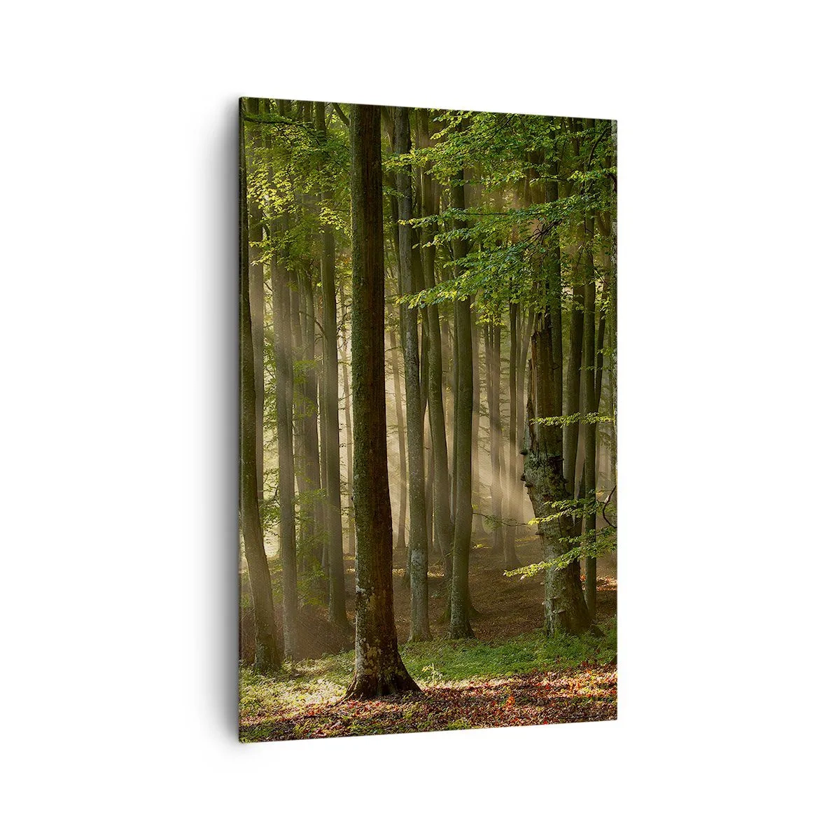 Bild auf Leinwand - Leinwandbild - Sonnenstrahlen dringen durch die Bäume im Wald - 80x120cm - Strahlend an einem Frühlingsmorgen - Moderne Wanddekoration für Wohnzimmer und Schlafzimmer ARTTOR