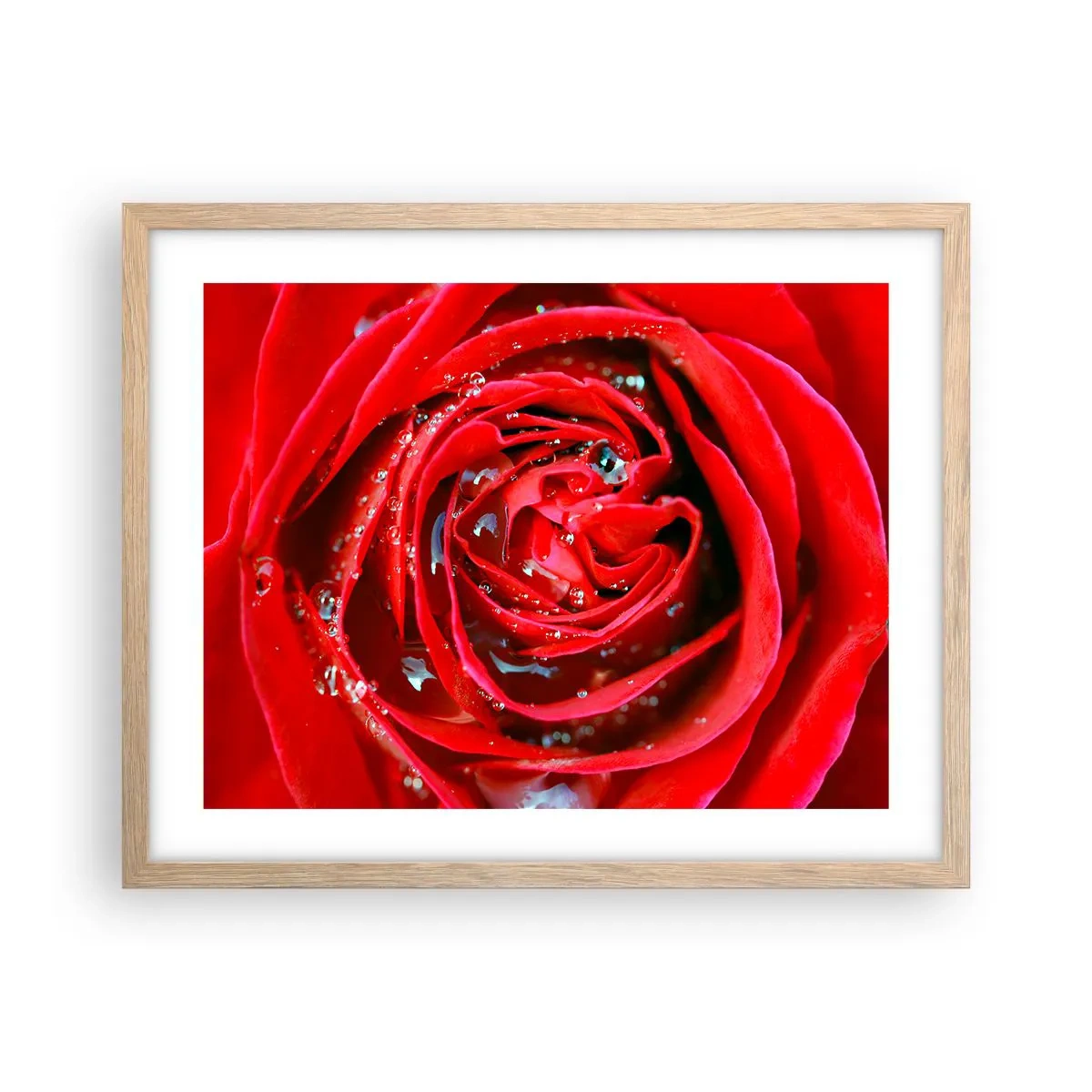 Poster in einem Rahmen aus heller Eiche - In den Tautropfen - 50x40 cm