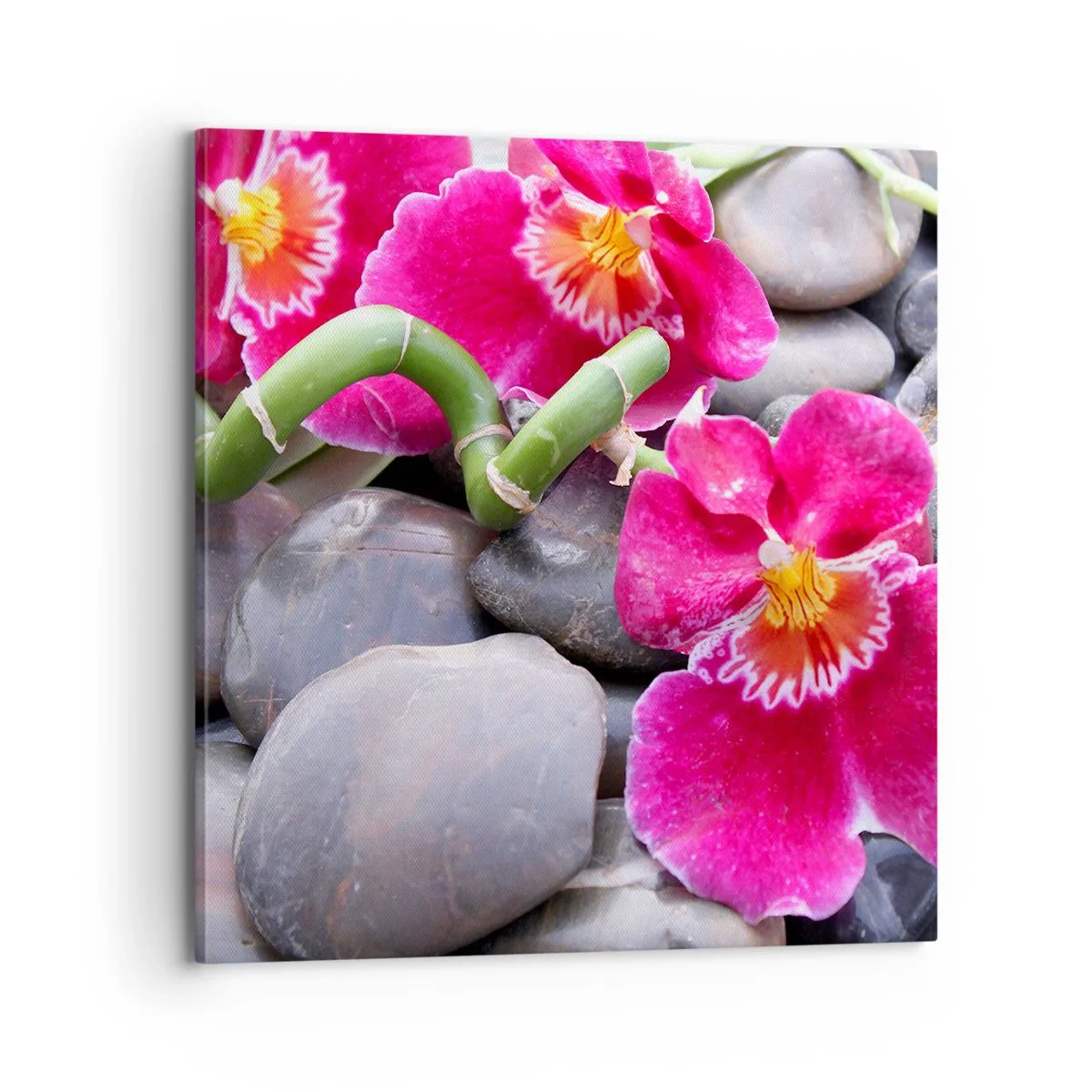 Bild auf Leinwand - Leinwandbild - Kühlen und erhitzen - 70x70 cm