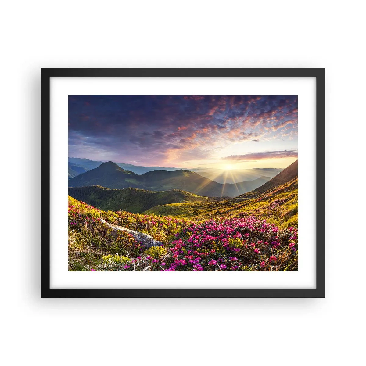 Poster in einem schwarzem Rahmen - Frische am Bergmorgen - 50x40 cm