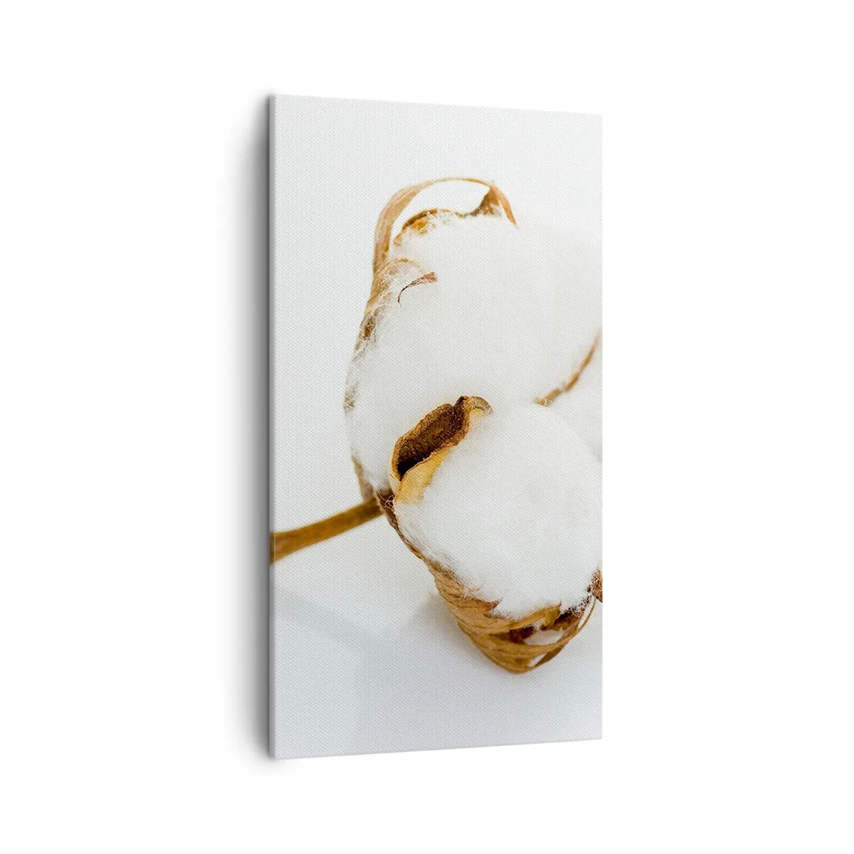 Bild auf Leinwand - Leinwandbild - Von Natur aus weich - 45x80 cm