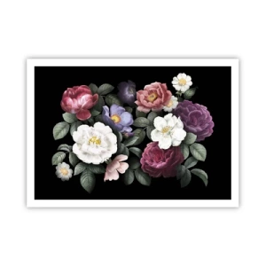 Poster - Blumen in verschiedenen Farben auf schwarzem Hintergrund - 100x70cm - Aus dem Englischen Garten - Moderne Wanddekoration für Wohnzimmer und Schlafzimmer ARTTOR