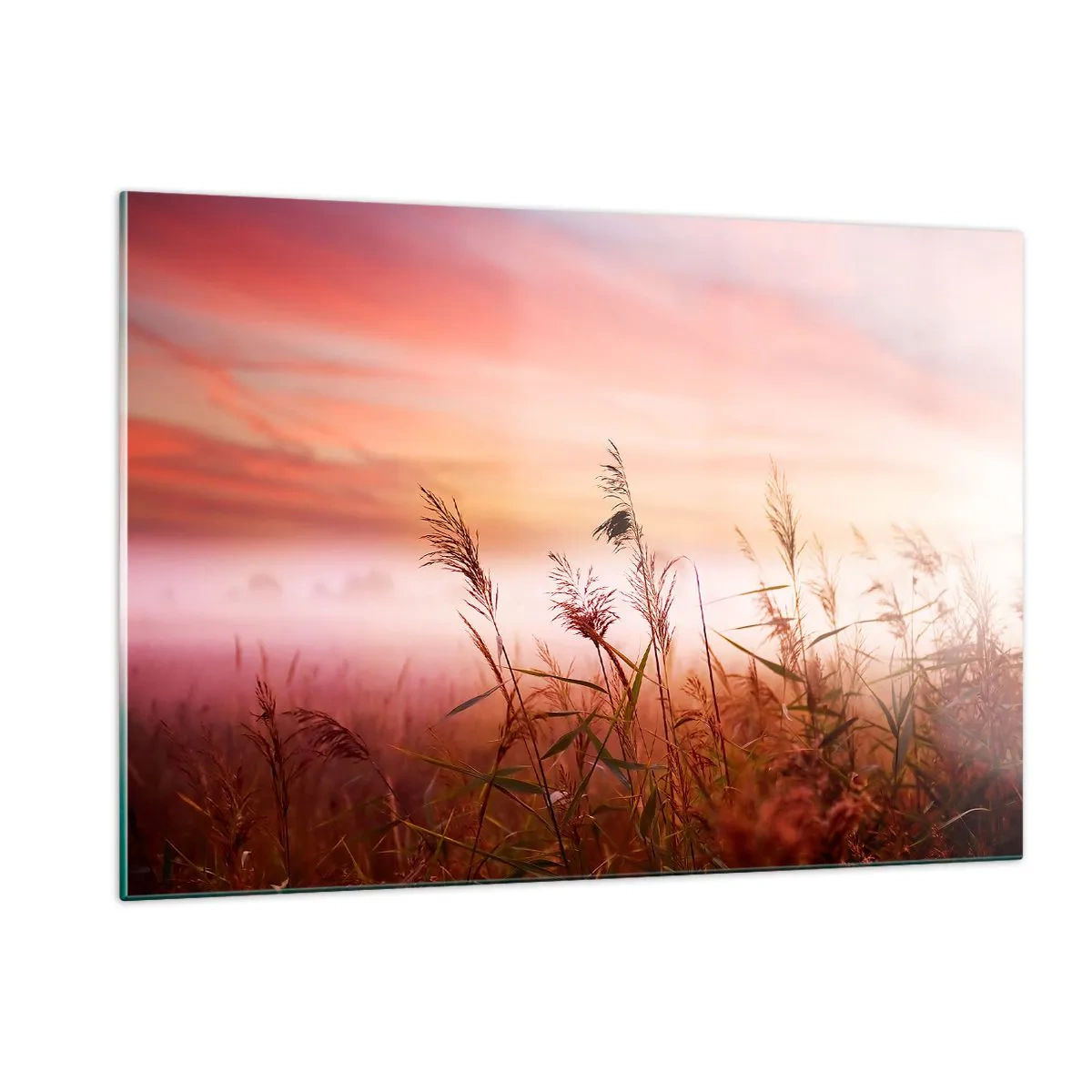 Glasbild - Bild auf glas - Eine Wiese im Morgennebel mit pastellfarbenem Himmel - 120x80cm - Drachen, Löwenzahn, Wind - Moderne Wanddekoration für Wohnzimmer und Schlafzimmer ARTTOR