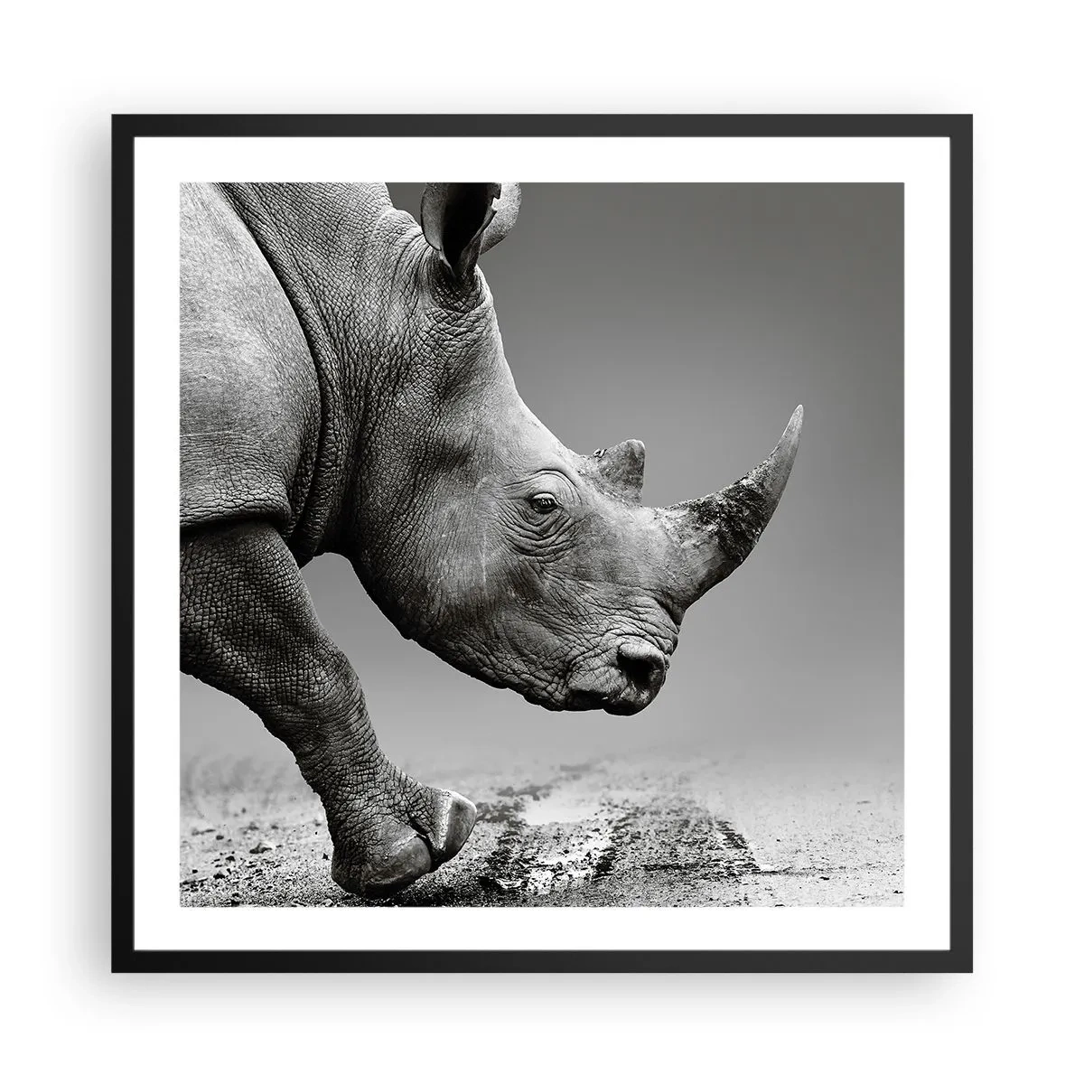 Poster in einem schwarzem Rahmen - Unaufhaltsame Stärke - 60x60 cm