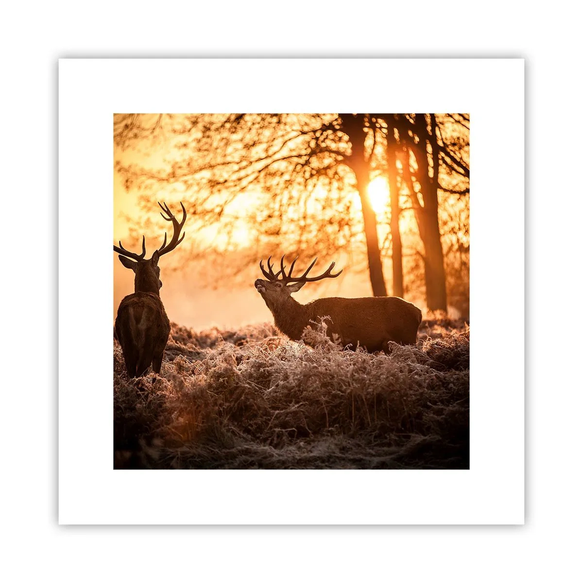 Poster - Der Traum eines Jägers - 30x30 cm