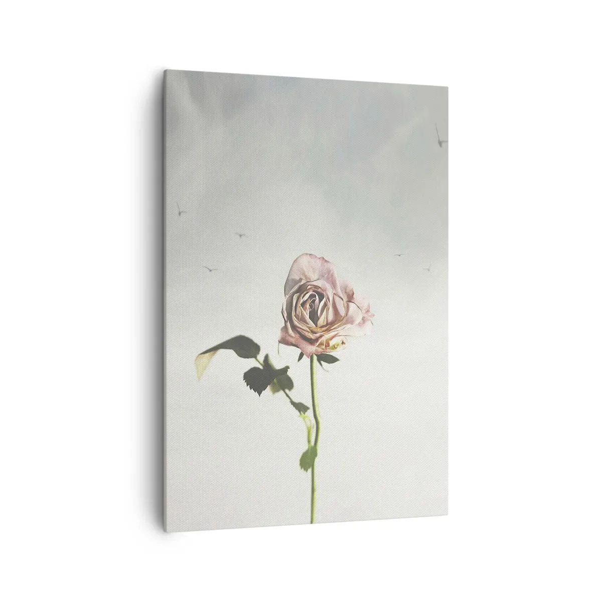 Bild auf Leinwand - Leinwandbild - Eine zarte Rose vor einem hellen Himmel mit fliegenden Vögeln - 70x100cm - Begrüßung des Frühlings - Moderne Wanddekoration für Wohnzimmer und Schlafzimmer ARTTOR