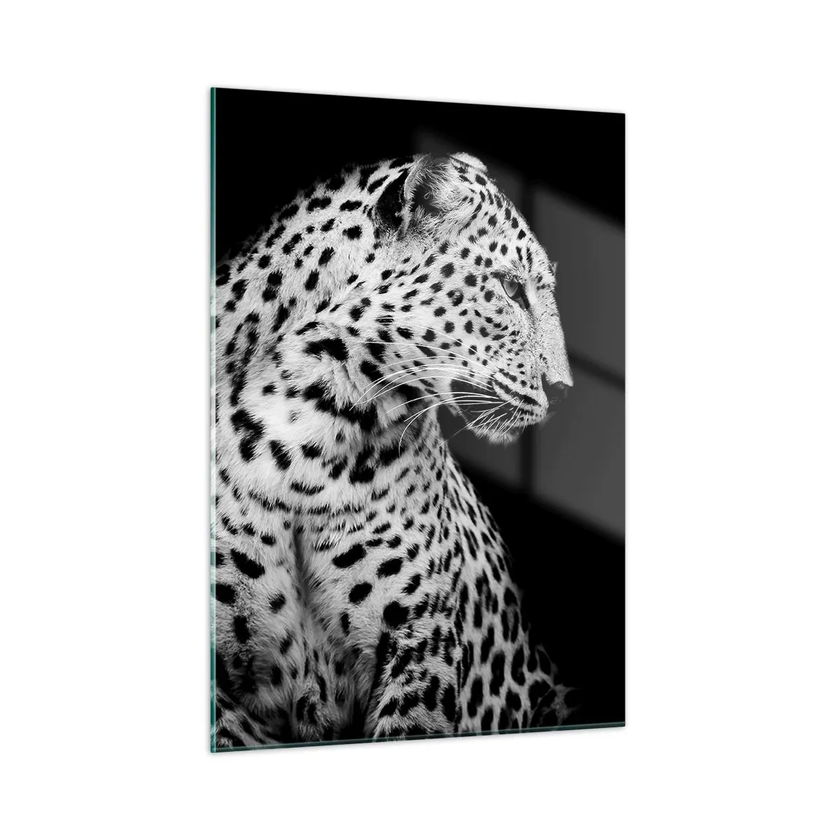Glasbild - Bild auf glas - Ein Leopard in schwarz-weißem Licht vor einem Fenster - 50x70cm - Rechtes Profil perfekt! - Moderne Wanddekoration für Wohnzimmer und Schlafzimmer ARTTOR