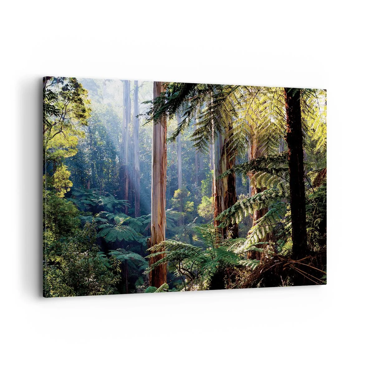 Bild auf Leinwand - Leinwandbild - Tropischer Wald, beleuchtet von den Sonnenstrahlen - 100x70cm - Ein Waldmärchen - Moderne Wanddekoration für Wohnzimmer und Schlafzimmer ARTTOR