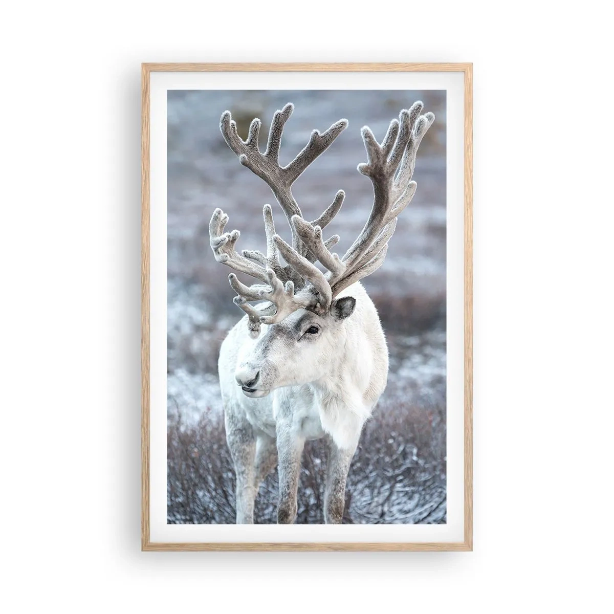 Poster in einem Rahmen aus heller Eiche - Porträt in der Sonne - 61x91 cm