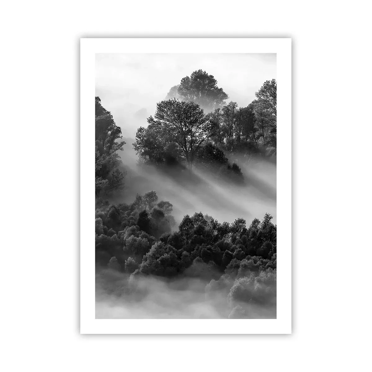 Poster - Nebliger Wald in Schwarz-Weiß-Tönen - 50x70cm - Aufstehend aus dem Schlaf - Moderne Wanddekoration für Wohnzimmer und Schlafzimmer ARTTOR