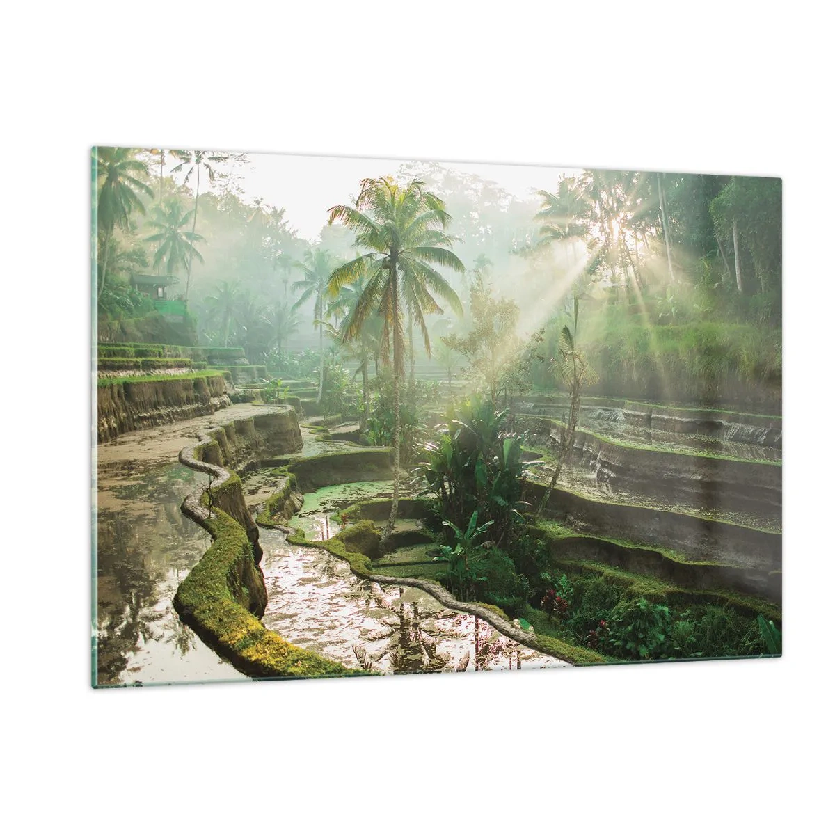Glasbild - Bild auf glas - Tropische Reisfelder mit Palmen im Morgennebel - 120x80cm - In der Sonne aufwachsen - Moderne Wanddekoration für Wohnzimmer und Schlafzimmer ARTTOR
