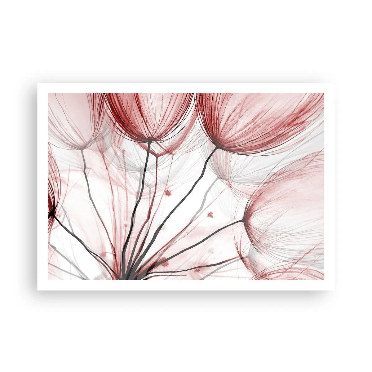 Poster - Zarte Blüten in Rottönen auf hellem Untergrund - 100x70cm - Vor der Abfahrt - Moderne Wanddekoration für Wohnzimmer und Schlafzimmer ARTTOR