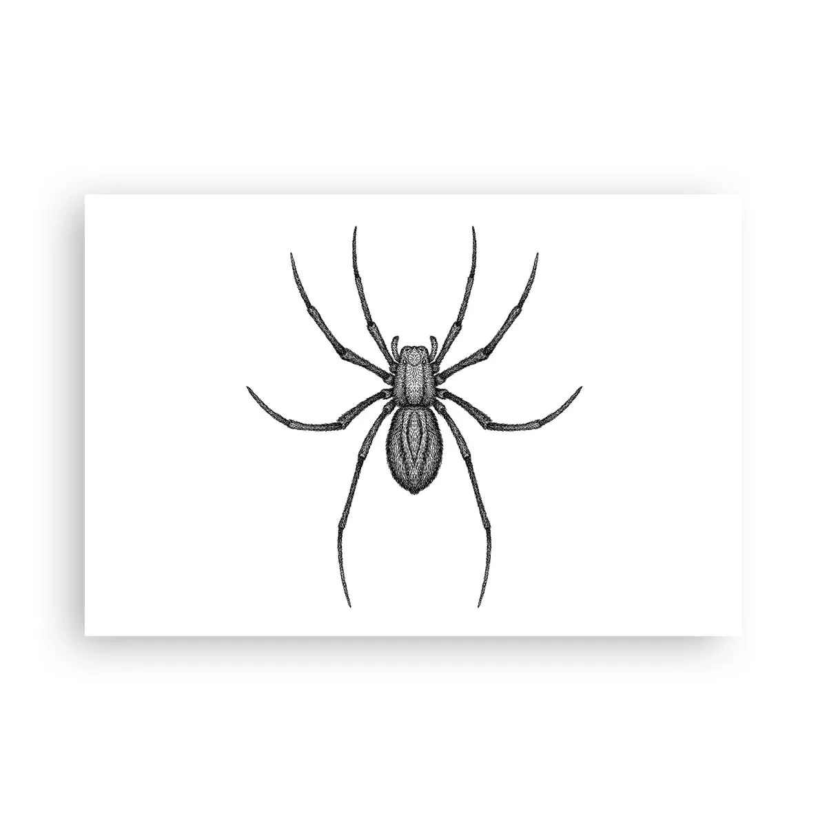 Poster - Beunruhigende Präzision - 91x61 cm