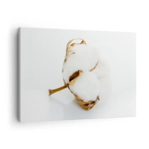 Bild auf Leinwand - Leinwandbild - Ein Baumwollzweig auf hellem Hintergrund in minimalistischem Ansatz - 70x50cm - Von Natur aus weich - Moderne Wanddekoration für Wohnzimmer und Schlafzimmer ARTTOR