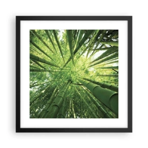 Poster in einem schwarzem Rahmen - In einem Bambushain - 40x40 cm
