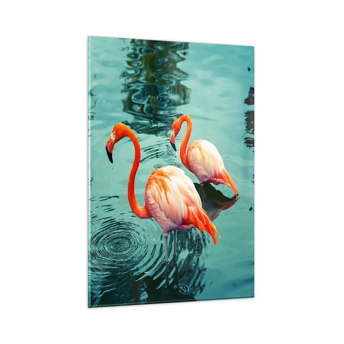 Glasbild - Bild auf glas - Zwei Flamingos im ruhigen Wasser spiegeln ihre Umgebung wider - 80x120cm - Wir sind jetzt in Mode - Moderne Wanddekoration für Wohnzimmer und Schlafzimmer ARTTOR