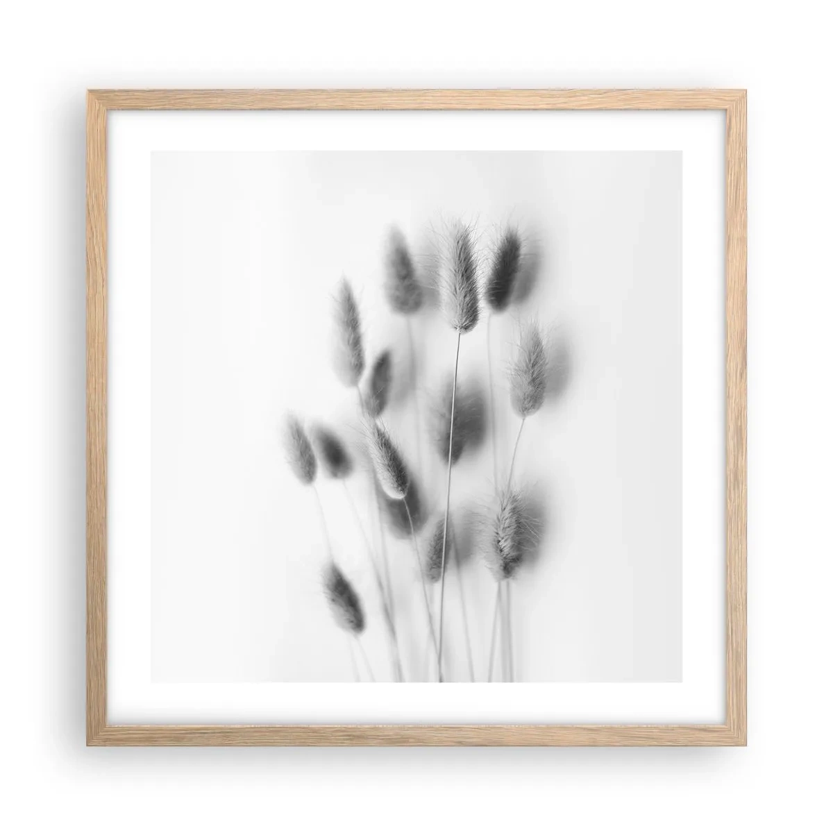 Poster in einem Rahmen aus heller Eiche - Eure flauschige Grashoheit - 50x50 cm