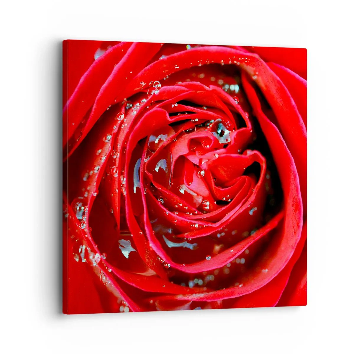 Bild auf Leinwand - Leinwandbild - In den Tautropfen - 30x30 cm