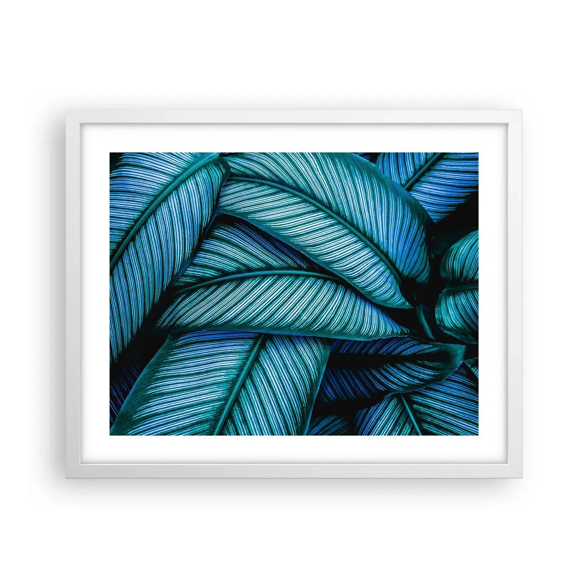 Poster in einem weißen Rahmen - Lebenslinien - 50x40 cm