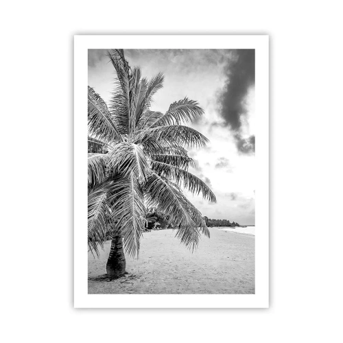 Poster - Eine schwarz-weiße Palme an einem leeren Strand unter einem bewölkten Himmel. - 50x70cm - Wenn du dich nach Einsamkeit sehnst ... - Moderne Wanddekoration für Wohnzimmer und Schlafzimmer ARTTOR