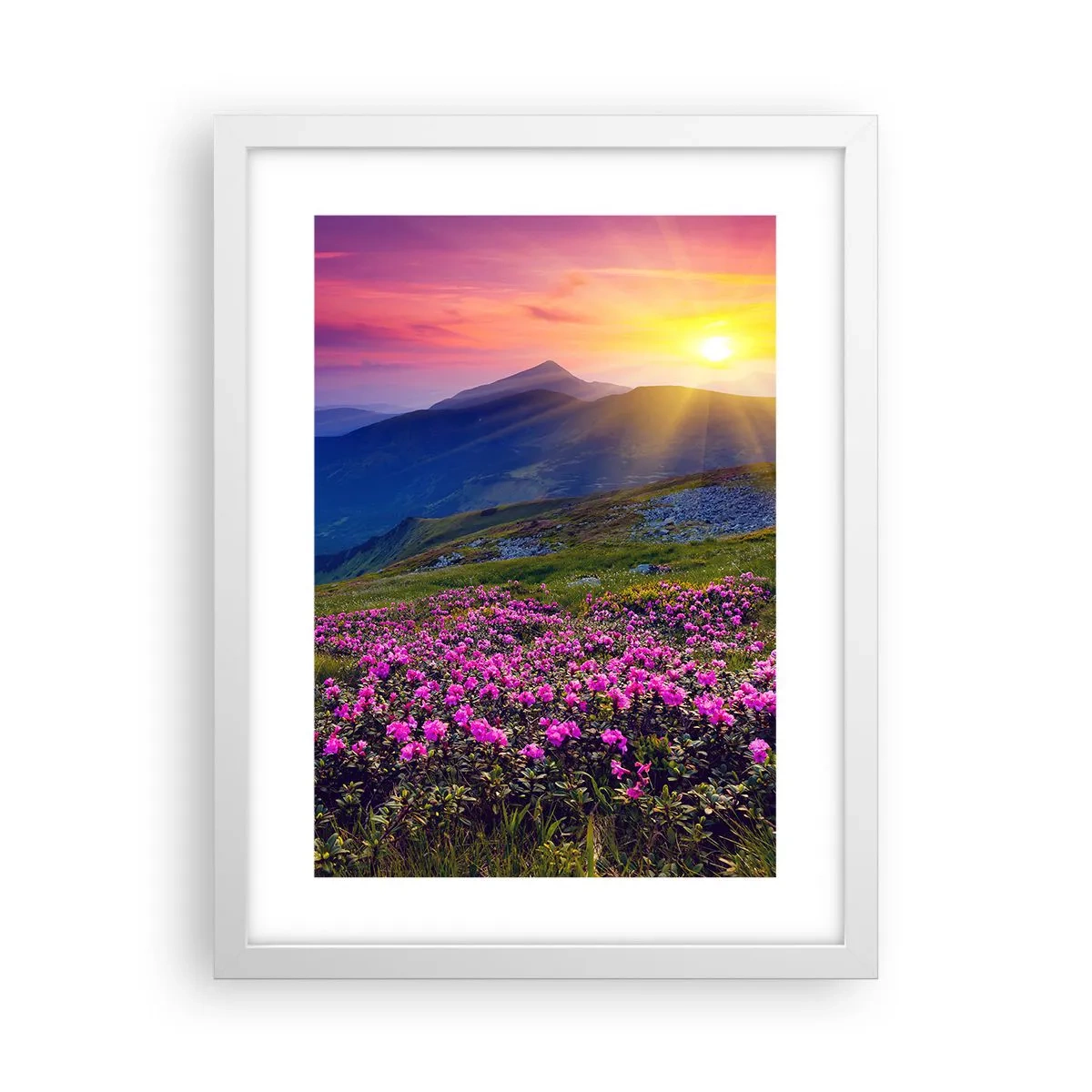 Poster in einem weißen Rahmen - … Und drumherum duftet es nach Latschenkiefer und dem Duft von Kräutern - 30x40 cm