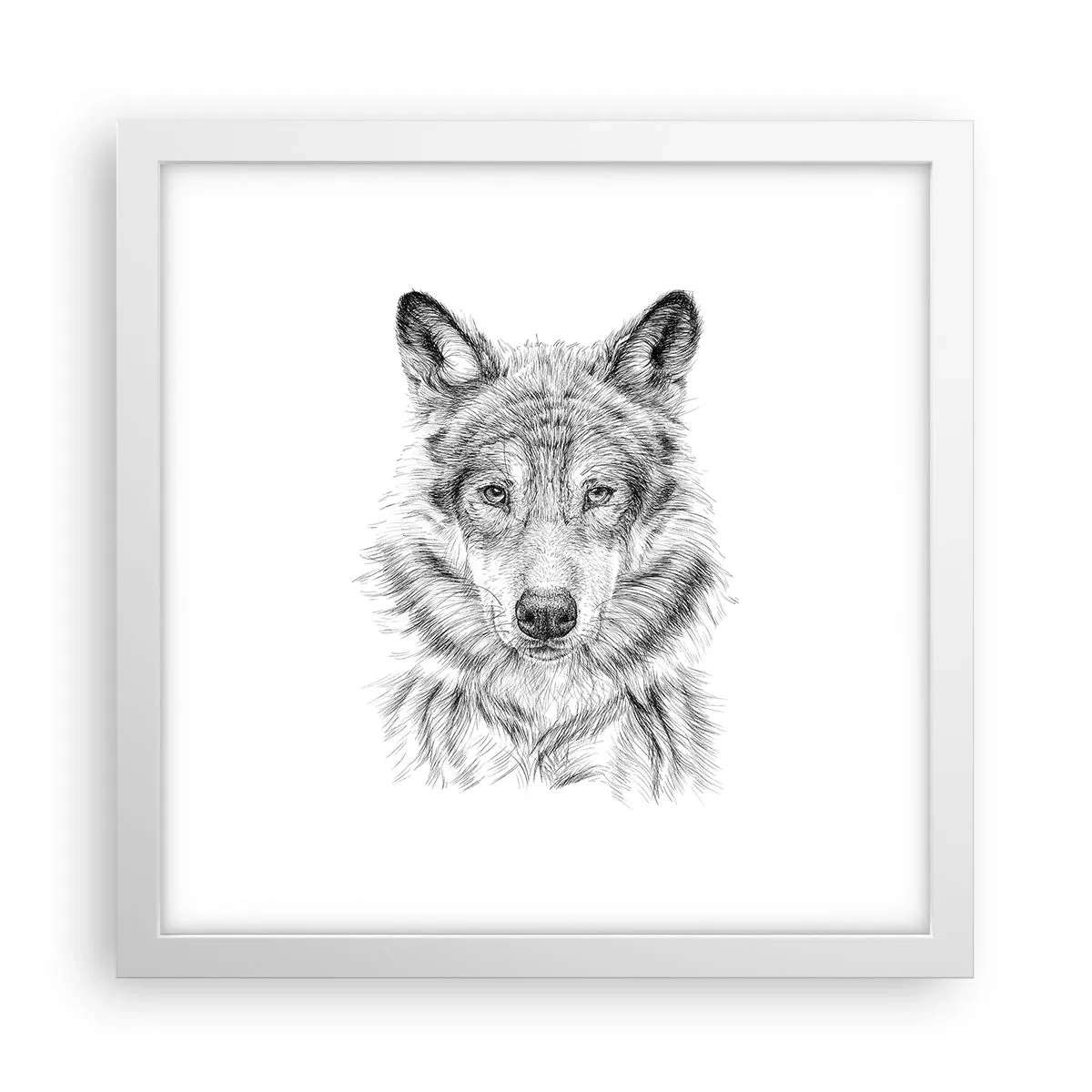 Poster in einem weißen Rahmen - Ein geborener Anführer - 30x30 cm