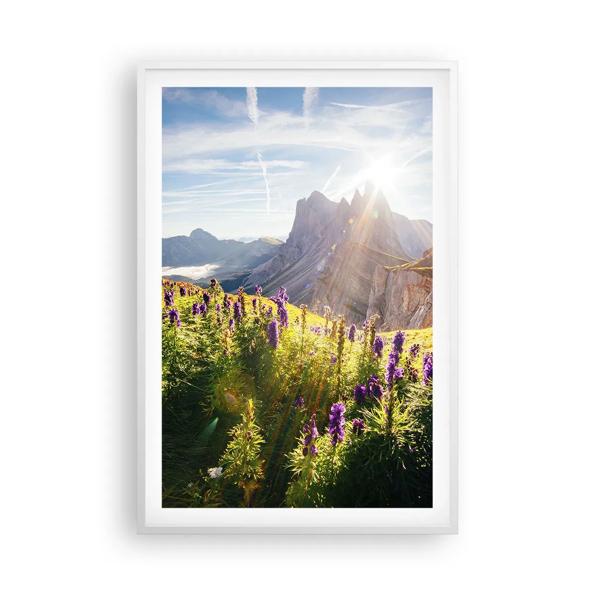 Poster in einem weißen Rahmen - Das geheime Leben der Kräuter - 61x91 cm