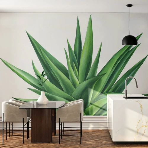 Fototapete Standard Eco - Grün – Kraft – Leben - Anlage, Aloe, Botanik - 450x315 cm
