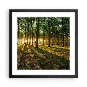 Poster in einem schwarzem Rahmen - Alle Frühlingsfotografie - 40x40 cm