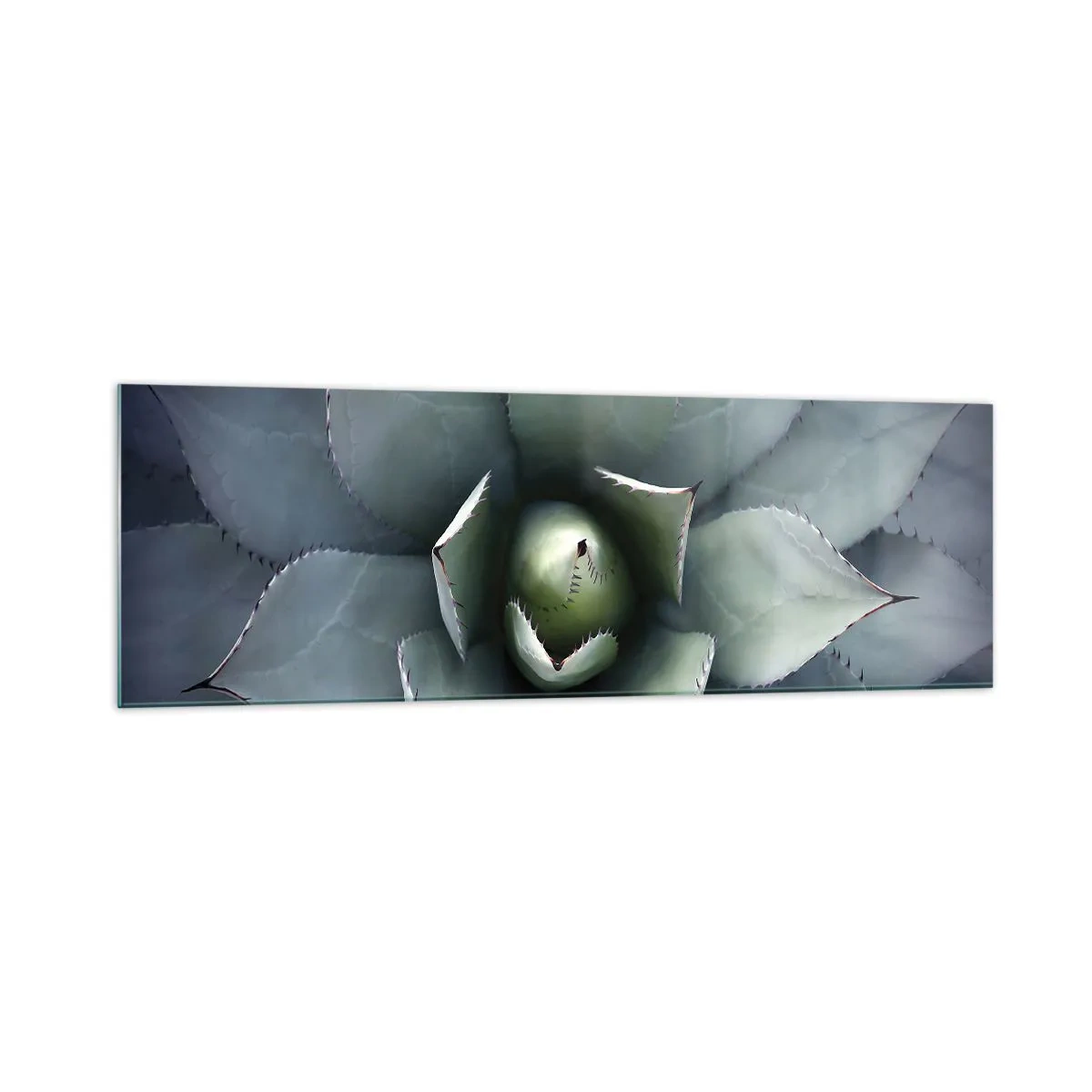 Glasbild - Bild auf glas - Nahaufnahme einer Agavenrosette in zarten Grüntönen - 160x50cm - Es lockt an und warnt - Moderne Wanddekoration für Wohnzimmer und Schlafzimmer ARTTOR