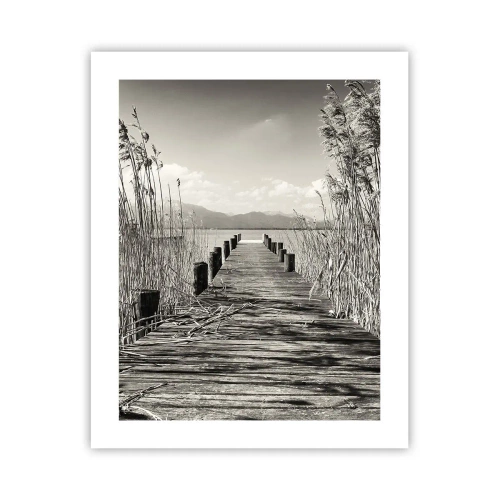 Poster - In der Stille des Grases - 40x50 cm