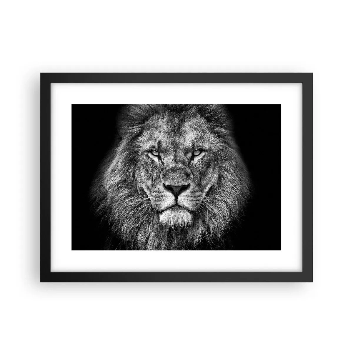Poster in einem schwarzem Rahmen - Im Krönungsgewand - 40x30 cm