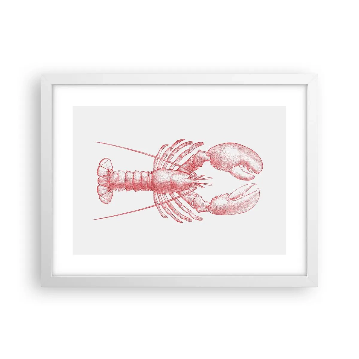 Poster in einem weißen Rahmen - Hummer, der Homers würdig ist - 40x30 cm