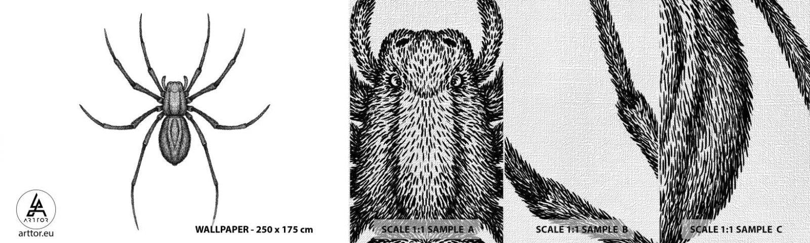 Fototapeten Muster Premium Canvas - Beunruhigende Präzision - Spinne, Insekt, Minimalistisch - 100x30 cm