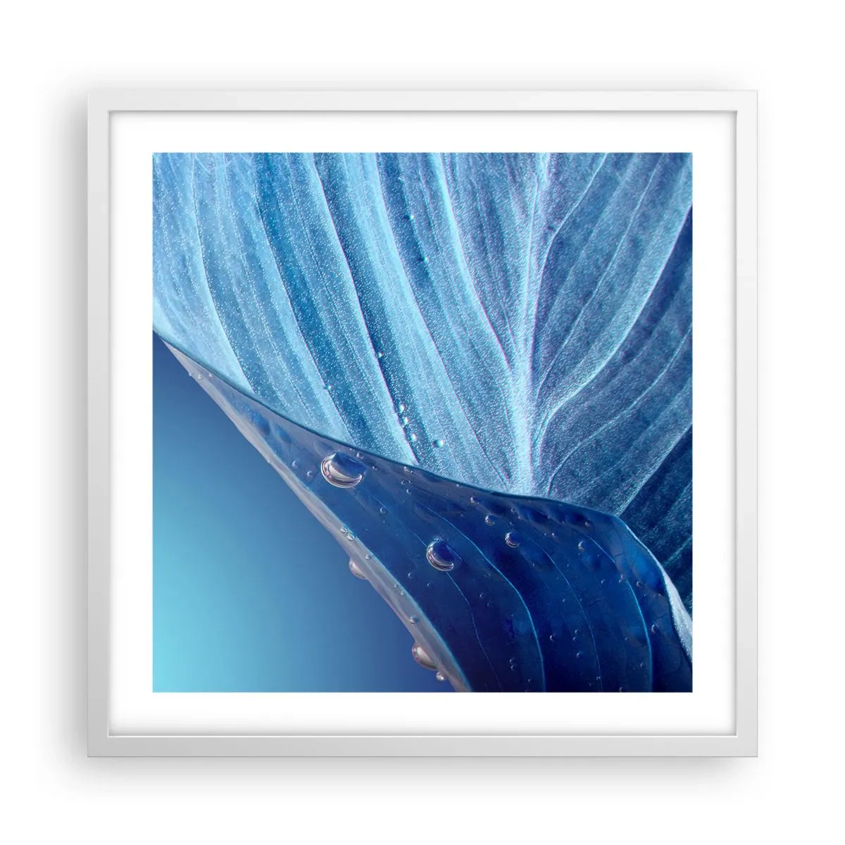 Poster in einem weißen Rahmen - Versteckte Tropfen vom Blau - 50x50 cm