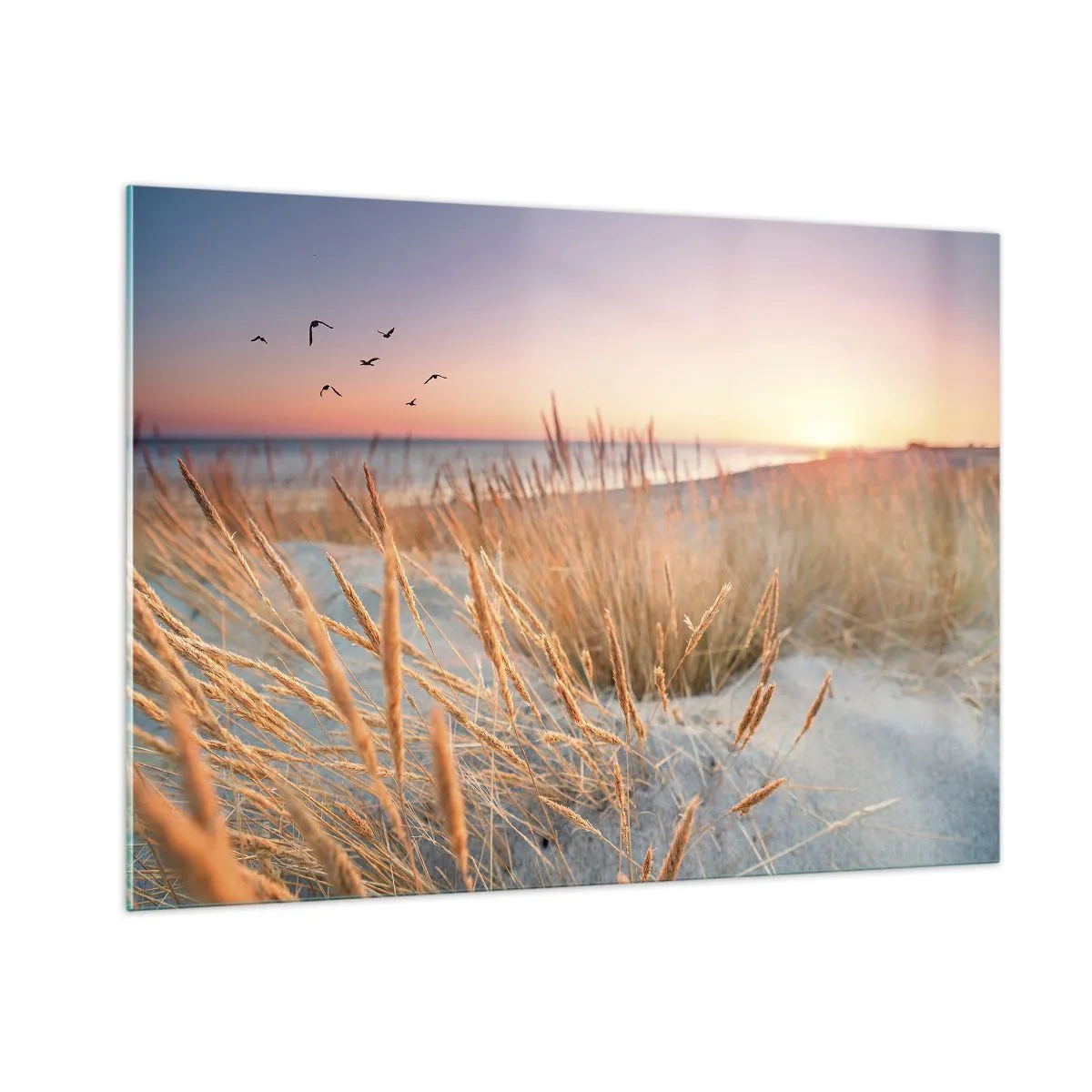 Glasbild - Bild auf glas - Ein Strand mit Gras und die Sonne geht über dem Meer unter - 100x70cm - Das baltische Wiegenlied - Moderne Wanddekoration für Wohnzimmer und Schlafzimmer ARTTOR