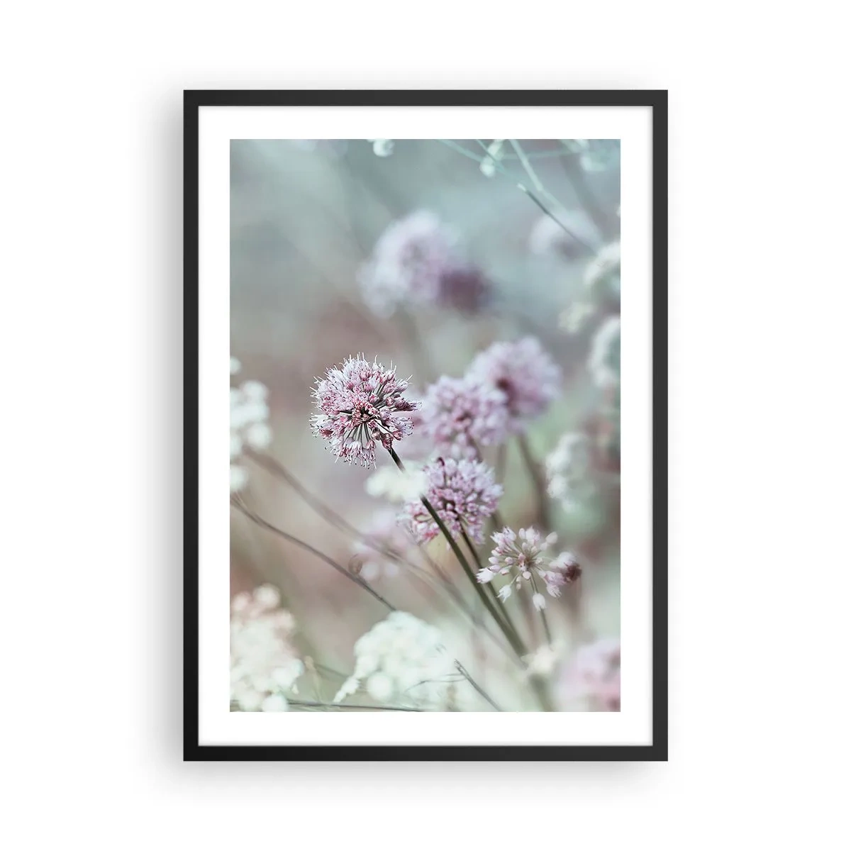 Poster in einem schwarzem Rahmen - Zarte Blüten in Pastellfarben - 50x70cm - Süße filigrane Kräuter - Moderne Wanddekoration für Wohnzimmer und Schlafzimmer ARTTOR