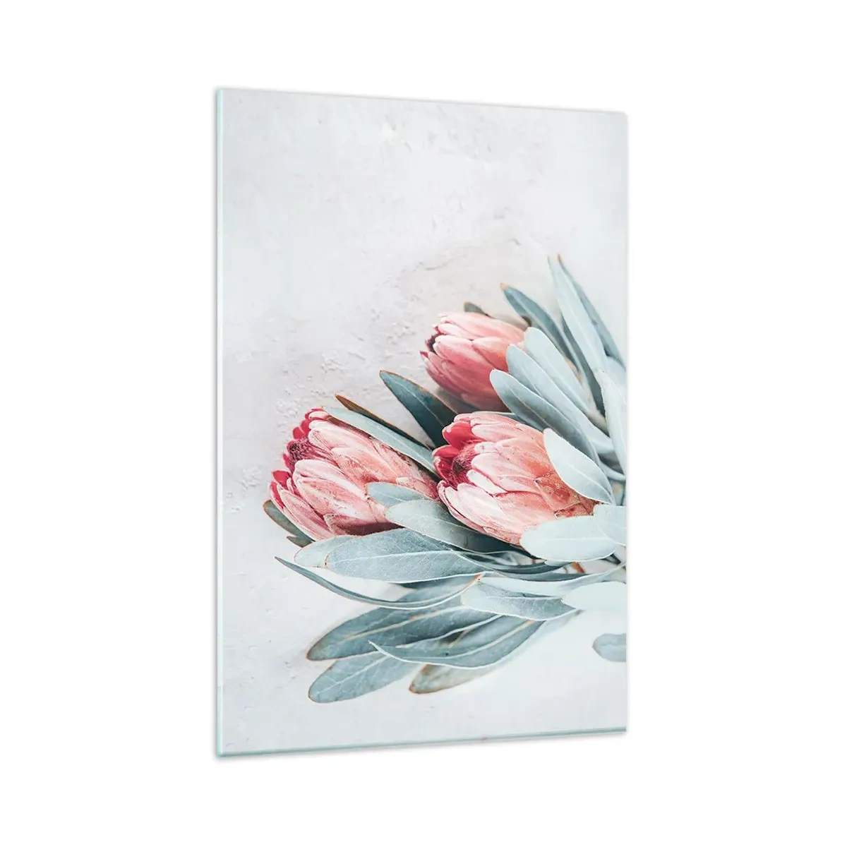 Glasbild - Bild auf glas - Dezente rosa Protea-Blüten auf hellem Hintergrund - 80x120cm - Schämen sich für ihre eigene Schönheit - Moderne Wanddekoration für Wohnzimmer und Schlafzimmer ARTTOR