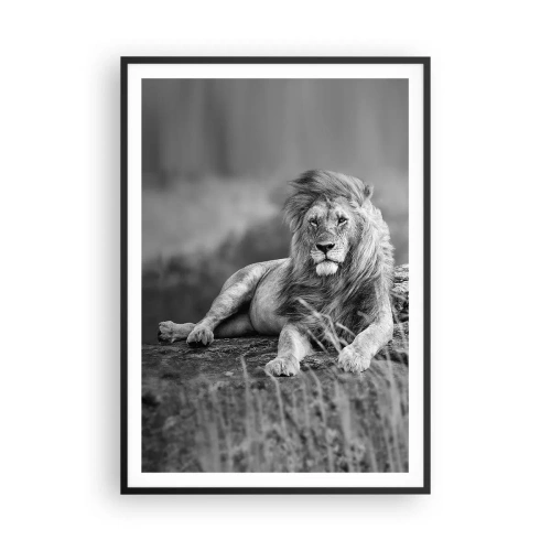 Poster in einem schwarzem Rahmen - Königliche Siesta - 70x100 cm