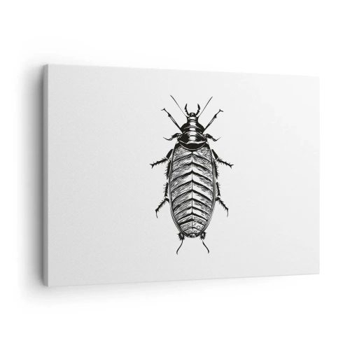 Bild auf Leinwand - Leinwandbild - Grafik eines schwarz-weißen Insekts auf weißem Hintergrund - 70x50cm - Was für ein Exemplar! - Moderne Wanddekoration für Wohnzimmer und Schlafzimmer ARTTOR