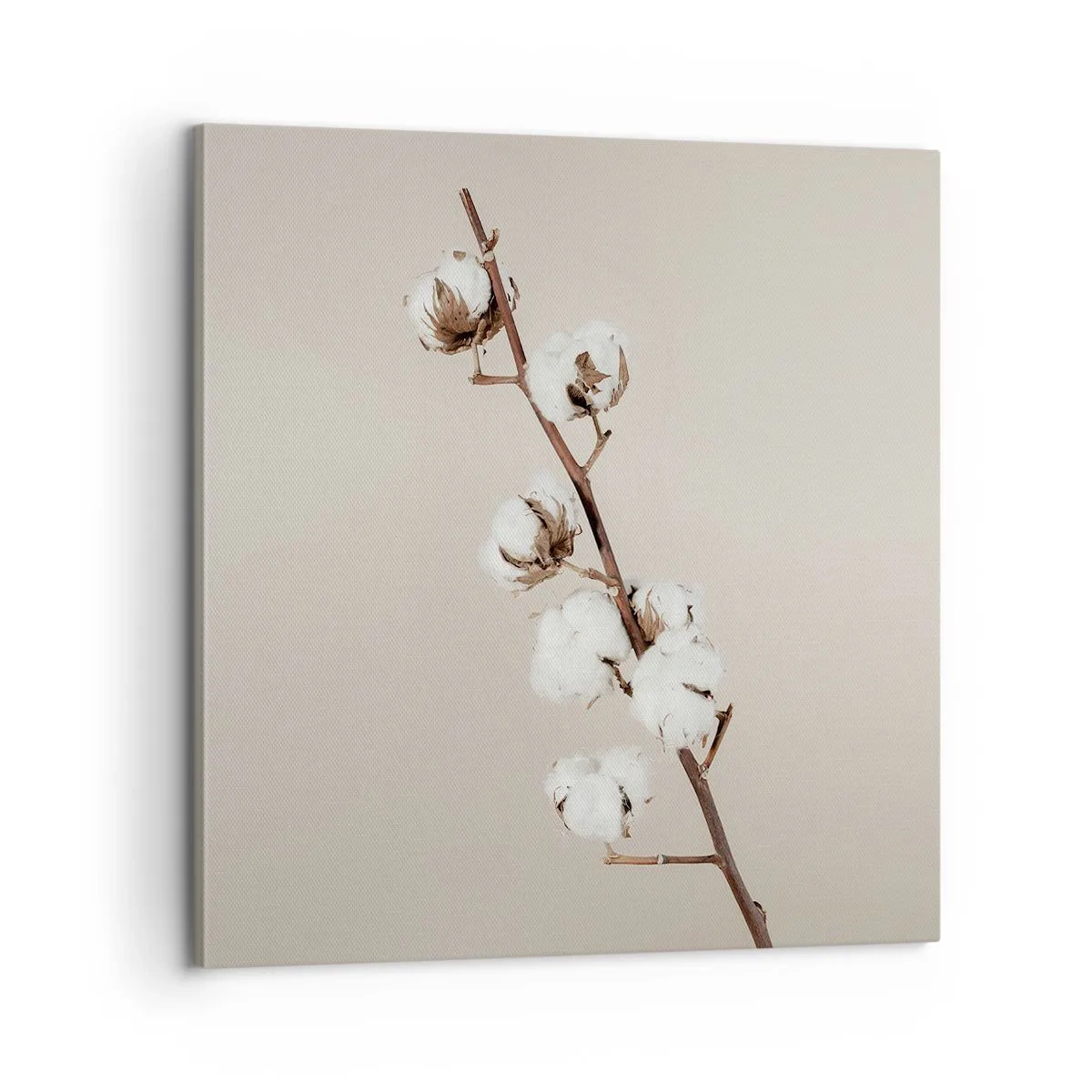 Bild auf Leinwand - Leinwandbild - An der Quelle der Weichheit - 60x60 cm