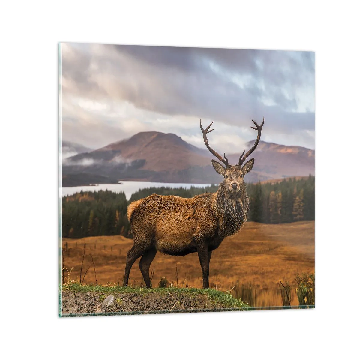 Glasbild - Bild auf glas - Die Majestät der Natur - 30x30 cm