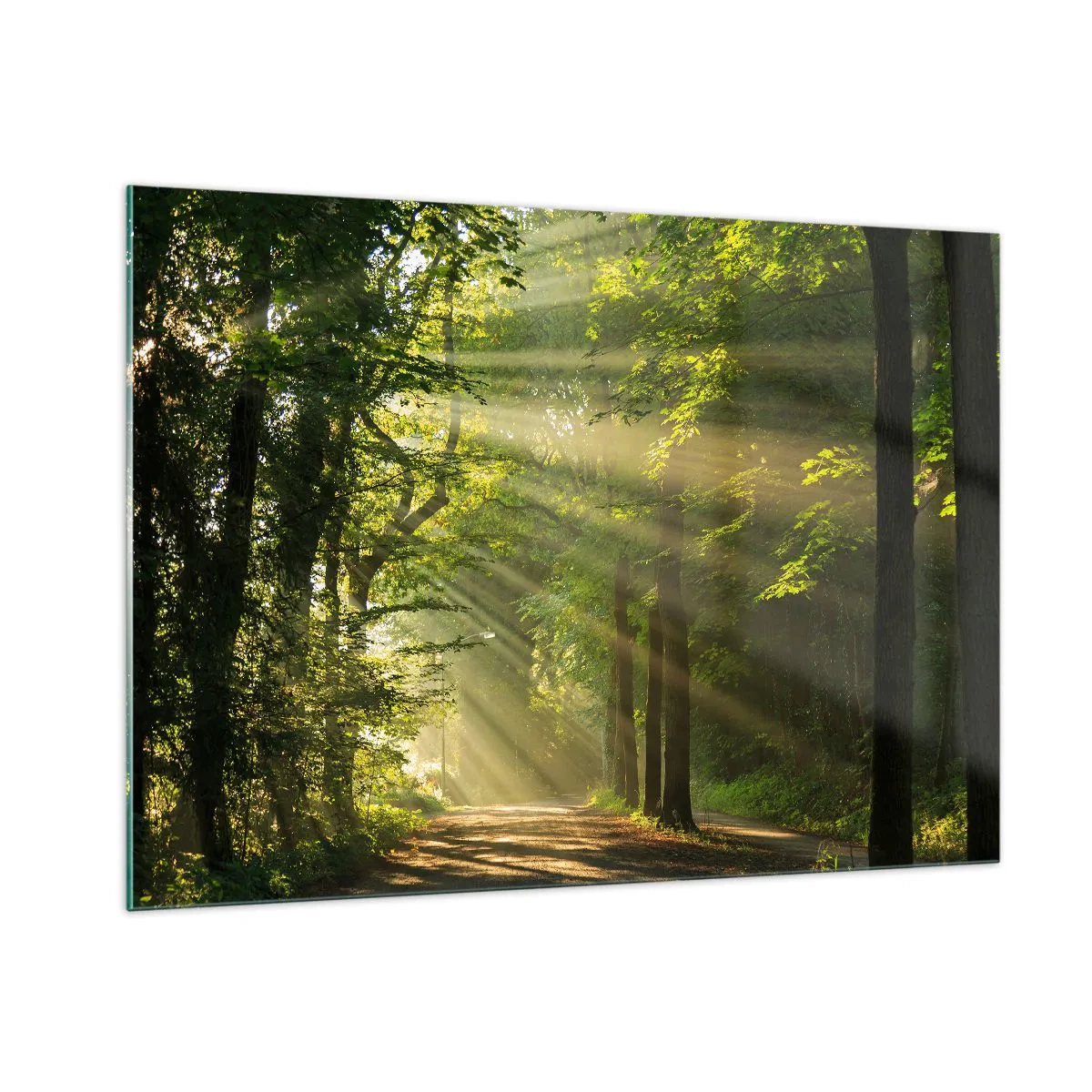 Glasbild - Bild auf glas - Ein Waldweg, beleuchtet von den Sonnenstrahlen - 100x70cm - Waldmoment - Moderne Wanddekoration für Wohnzimmer und Schlafzimmer ARTTOR