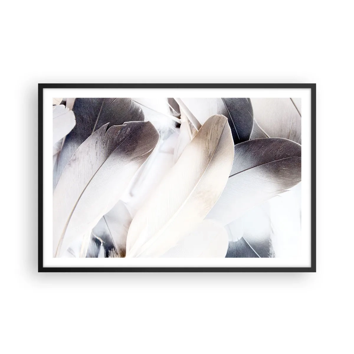 Poster in einem schwarzem Rahmen - Fast engelhaft - 91x61 cm