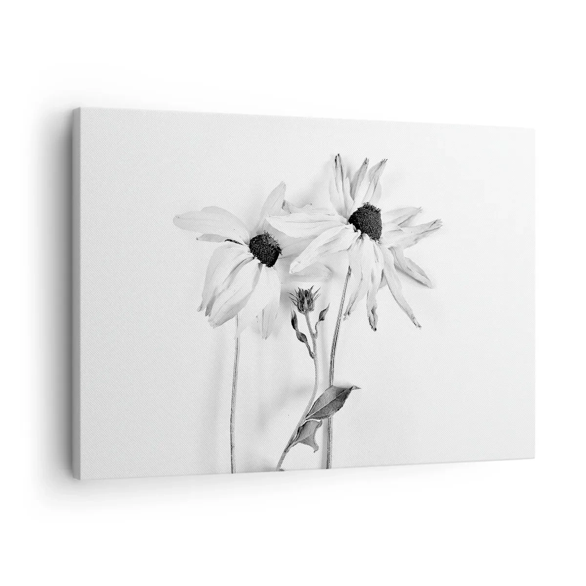 Bild auf Leinwand - Leinwandbild - Schwarz-weiße Blumen mit subtiler Komposition - 70x50cm - Niemand will allein sein - Moderne Wanddekoration für Wohnzimmer und Schlafzimmer ARTTOR