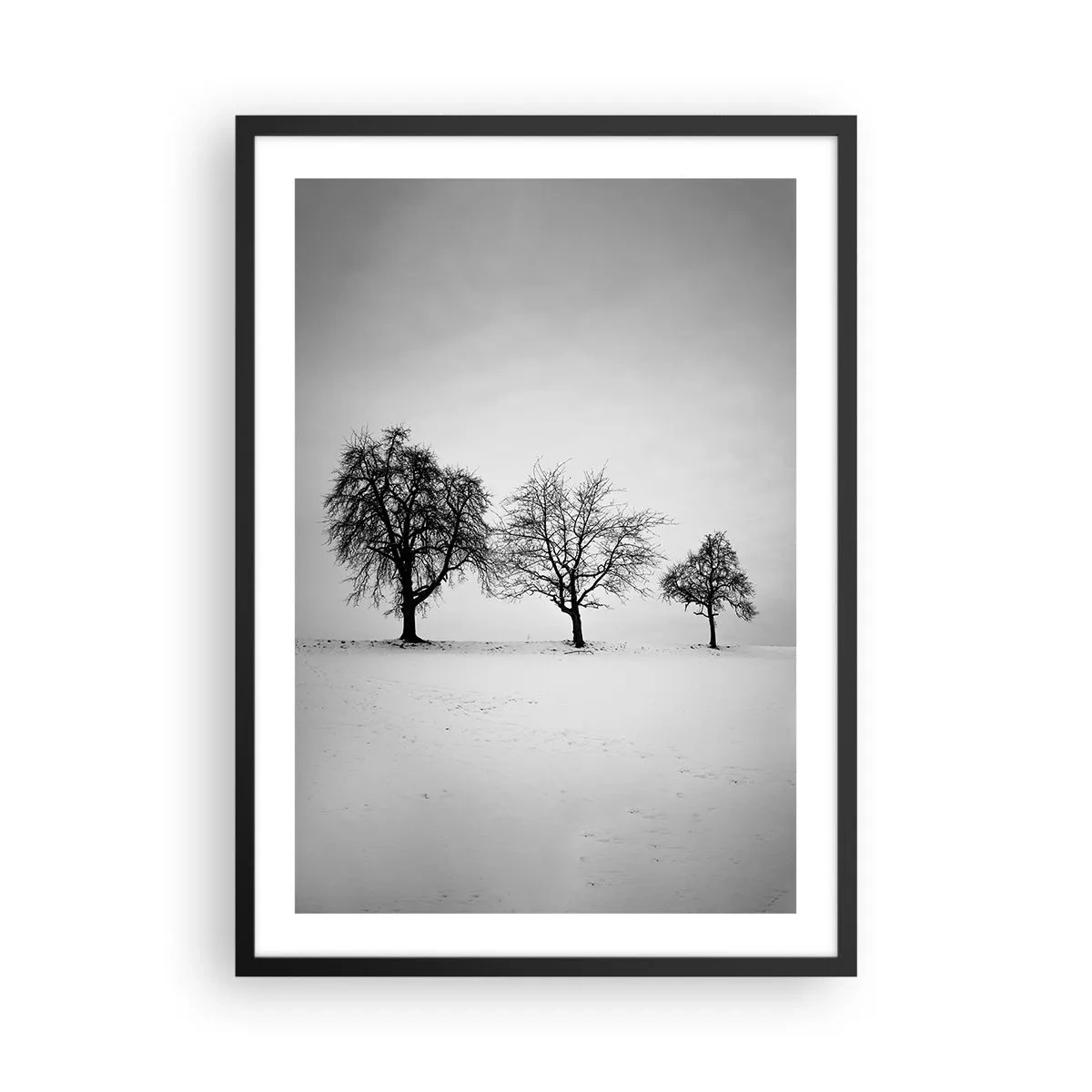 Poster in einem schwarzem Rahmen - Drei Bäume in einem schneebedeckten Feld in Schwarz und Weiß - 50x70cm - Wovon träumen sie? - Moderne Wanddekoration für Wohnzimmer und Schlafzimmer ARTTOR