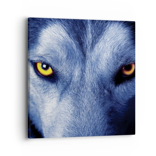 Bild auf Leinwand - Leinwandbild - Faszinierender Blick - 40x40 cm