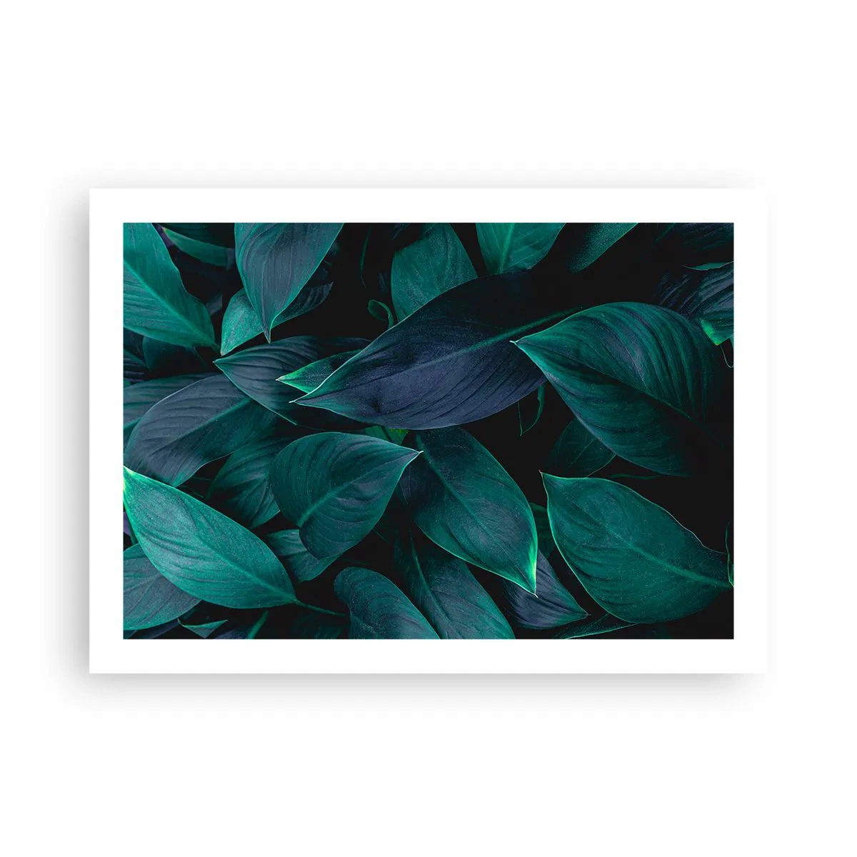 Poster - Grün in sich selbst - 70x50 cm